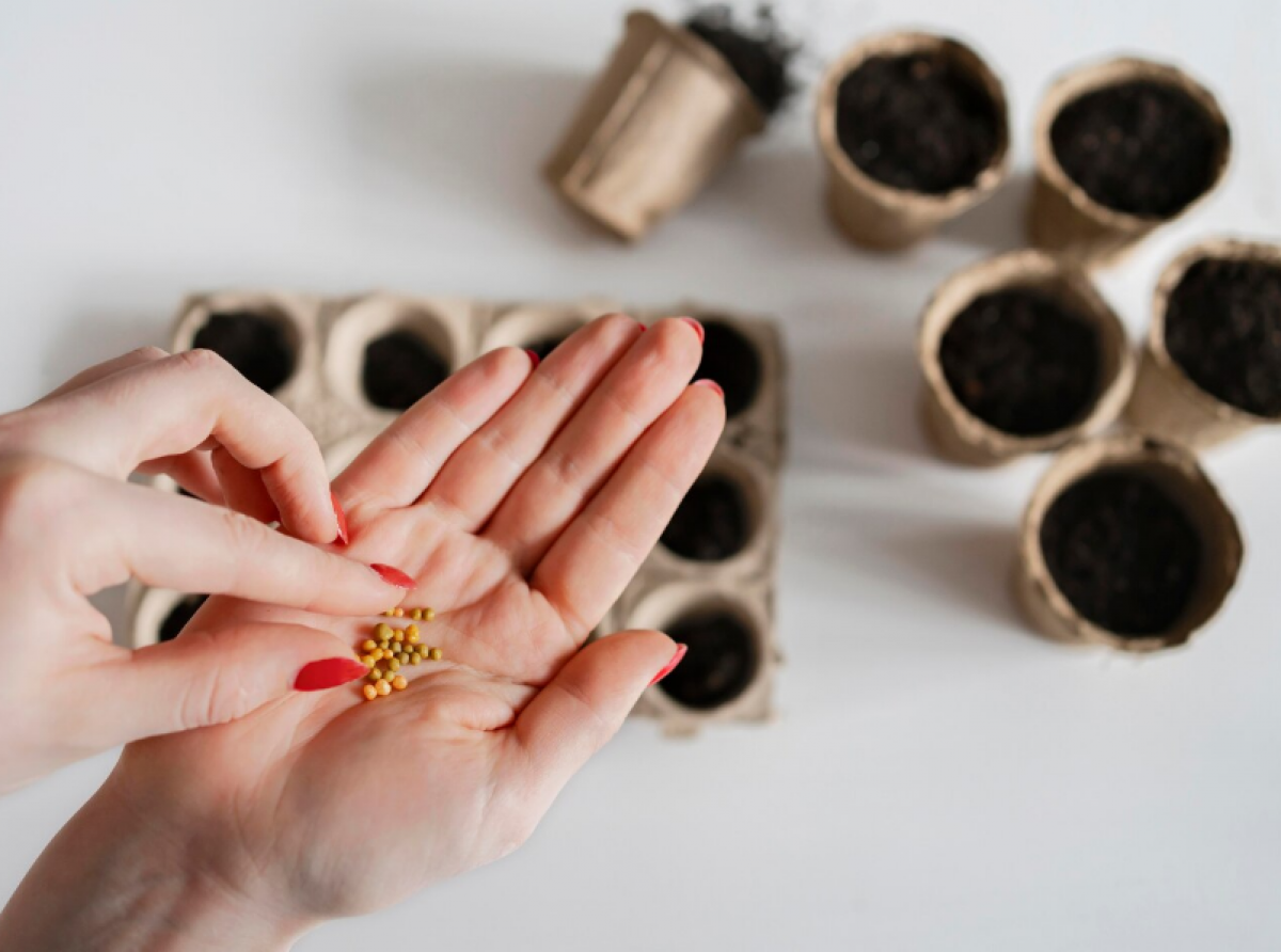 Фото: https://ru.freepik.com/free-photo/